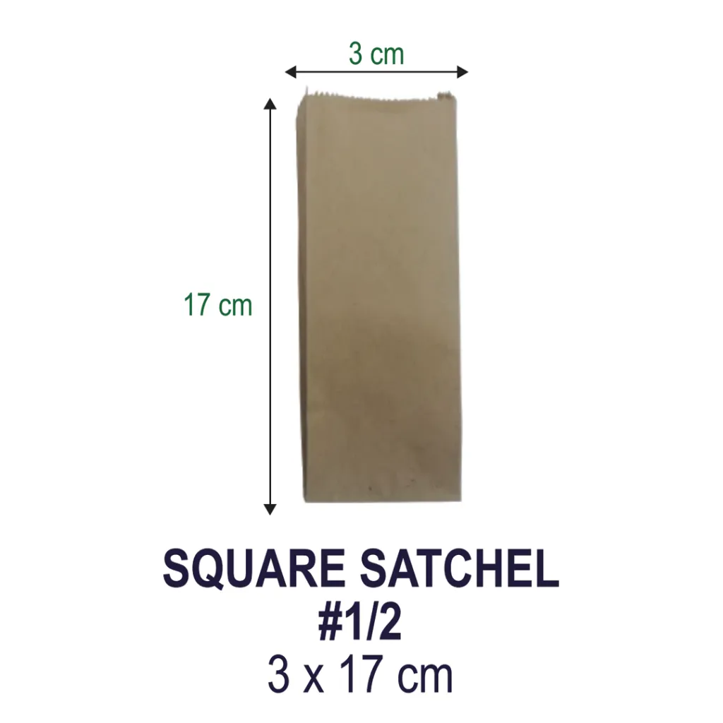 SQUARE SATCHEL 1.2.webp
