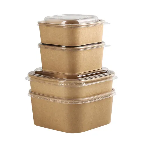 square-paper-bowl-main-picture_4.webp